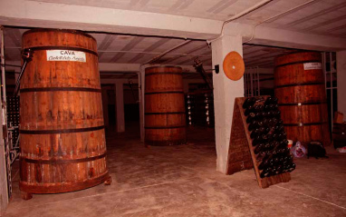 Bodega subterránea