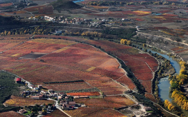 Imagen aérea de viñedos con el río Ebro al lado