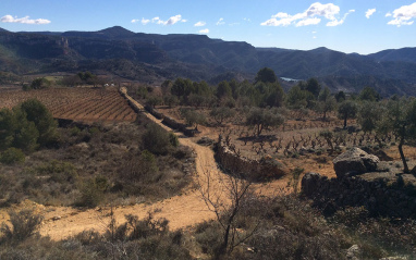 Camí del Montsant