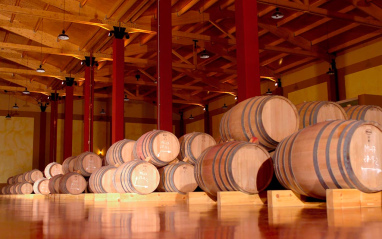 Sala de crianza en Viñas del Jaro