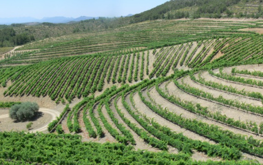 Finca la Solana, en el Priorat