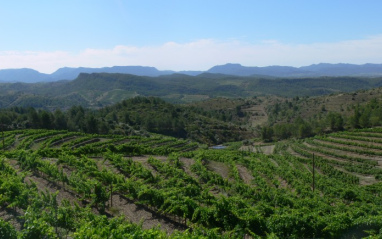 Finca la Solana, en Priorat