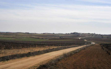 Uno de los caminos que conducen a la viña de Loess