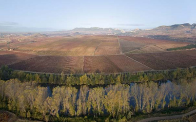 El viñedo, junto a un meandro del Río Ebro