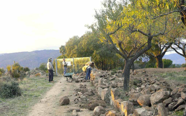 Uno de los paisajes típicos de la bodega madrileña