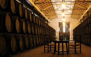 Bodega Miguel Sánchez Ayala