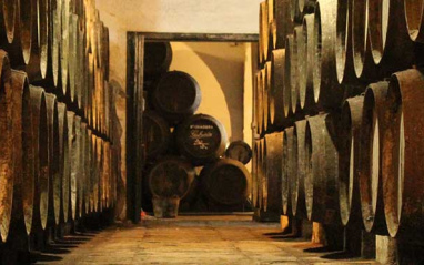 Sala de crianza