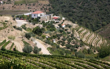 Niepoort