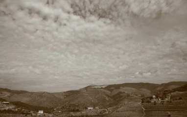 Niepoort