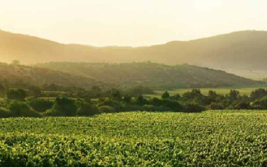 Panorámica de entorno