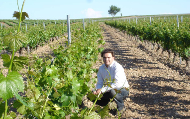 Eduardo Poza en el viñedo