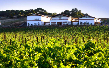 Muestra del terroir de Toro