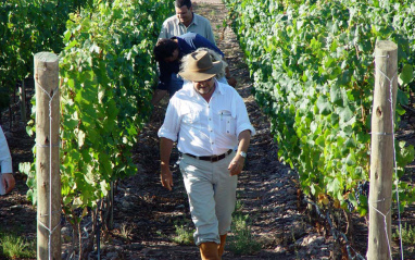 Michel Rolland entre viñedos