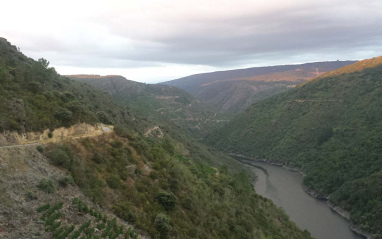 Paisaje de Ribeira Sacra