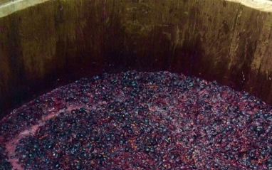 Monastrell fermentando en Viñas Al Lado de la Casa