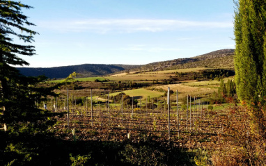 Bodega Alto de Inazares