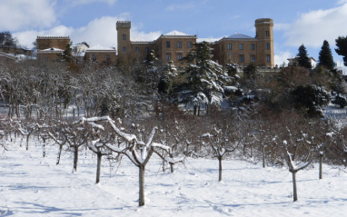 Dicastillo bajo la nieve