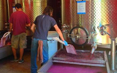 Interior de bodega