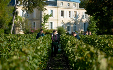 Vista exterior del château