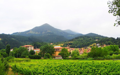 Viñas de Iberlanda
