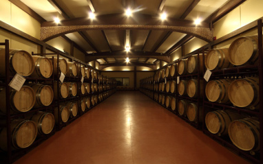 Sala de crianza