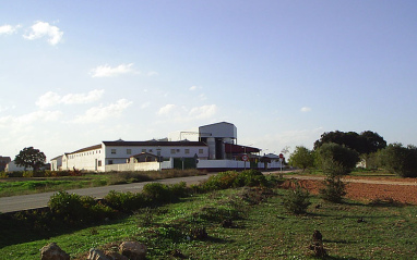 Panorámica bodega