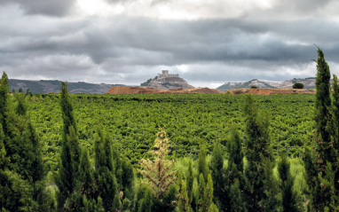 En Ribera del Duero, la viñas se ubican en plena 'milla de oro'