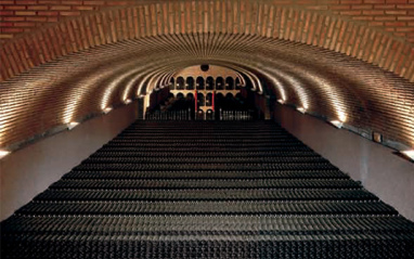 Panorámica de la sala de crianza