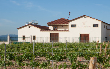 Las viñas rodean las instalaciones de Casa Corredor
