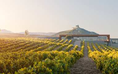 Bodega de Casa Rojo en Ribera del Duero