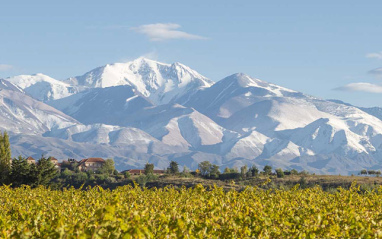 Viñedos a los pies de los Andes