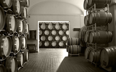 Sala de barricas de bodega Cesari