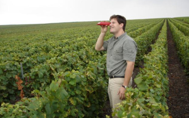 El viñedo de Charles Orban se ubica en el valle del Marne