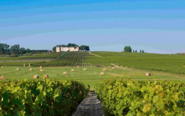 Château Bardins