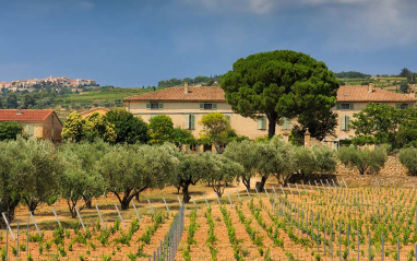 Château Romassan en Bandol