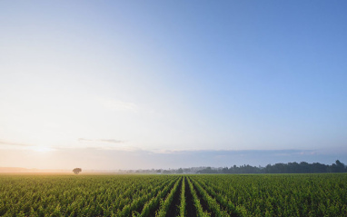 Amanecer en Château du Retout