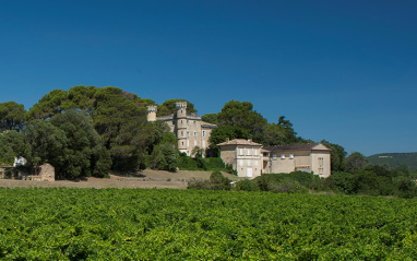 El viñedo rodea la bodega