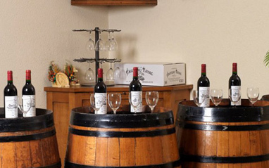 Los vinos de Château Tayac