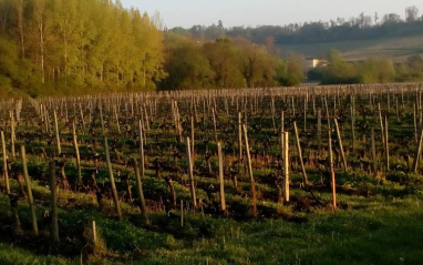 Localizado a 200 metros de la apelación Fronsac