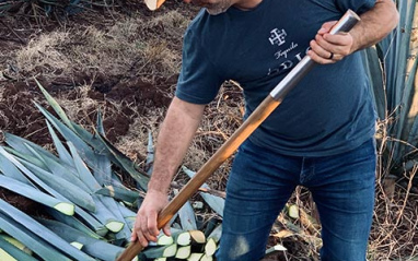 Ron Snyder cortando agave