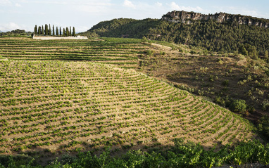 Costers típicos del Priorat