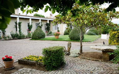 Jardines de la bodega