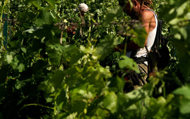 Domaine d’Aussières