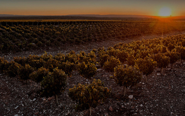 Atardecer en Doña Paula