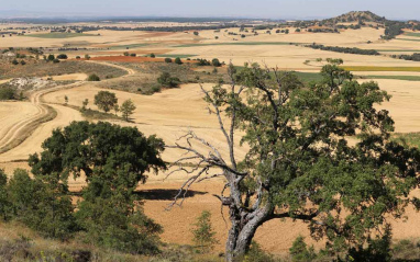 Panorámica del entorno