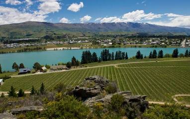 Los viñedos de Felton Road en el corazón de Central Otago.