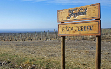 Freixenet fundó Finca Ferrer a principios del 2000