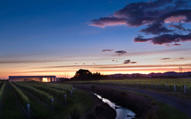 Anochece en la bodega