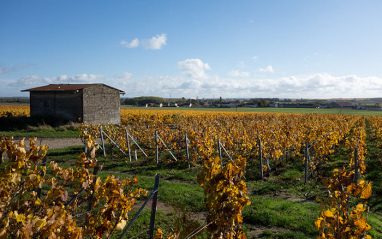 Puisieulx, uno de los 17 Grands Crus de Champagne