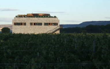 Viñedo con bodega al fondo